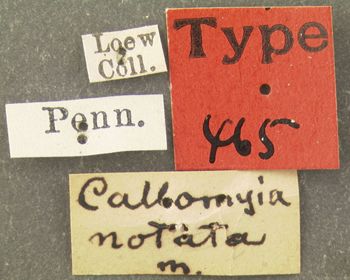 Media type: image;   Entomology 465 Aspect: labels